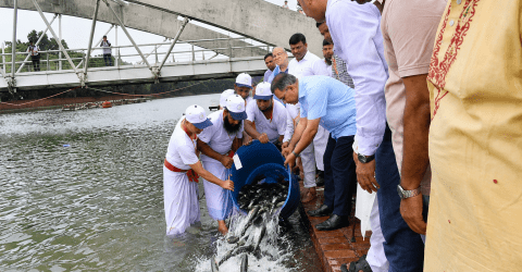 বিএনপির ৪৮তম প্রতিষ্ঠাবার্ষিকীতে বৃক্ষরোপণ ও মৎস্য অবমুক্তকরণ